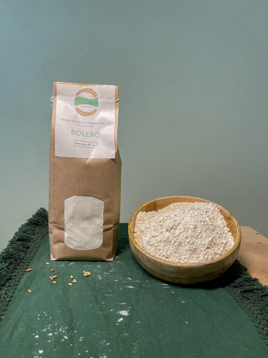 FARINA DI GRANO TENERO VARIETÀ BOLERO TIPO 2 macinato a pietra